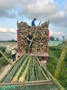 cọc tre giao cho khách